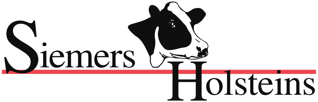 Siemers Holsteins logo