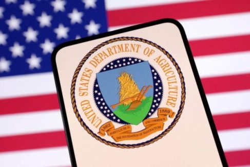 United States Department of Agriculture logo and U.S. flag are seen in this illustration taken April 23, 2025. REUTERS/Dado Ruvic/Illustration