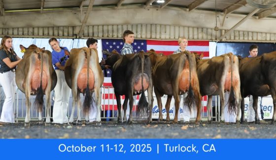 WDS Registered AOB Show WDS Registered AOB Show