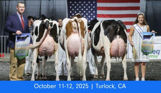 WDS Registered Holstein Show WDS Registered Holstein Show