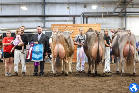 WIBrownSwiss25-8719 WIBrownSwiss25-8719