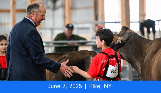Western New York Summer Colored Breeds
