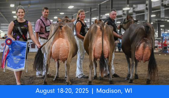 Wisconsin Championship Shows Wisconsin Championship Shows