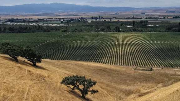 central-california-agriculture