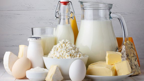 Probiotics Dairy